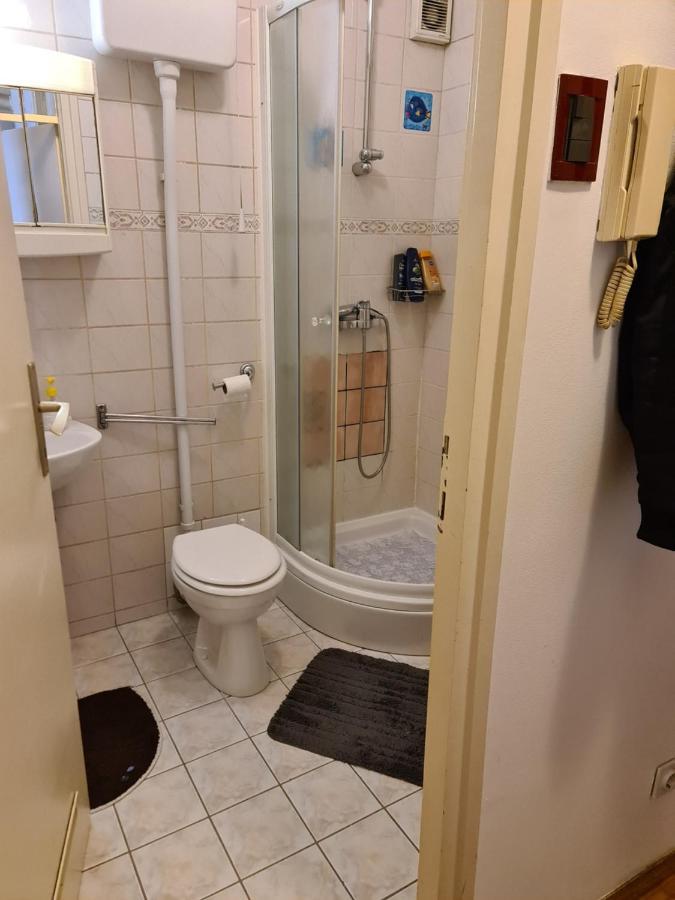 U Velikoj Gorici Zeljko Apartment *